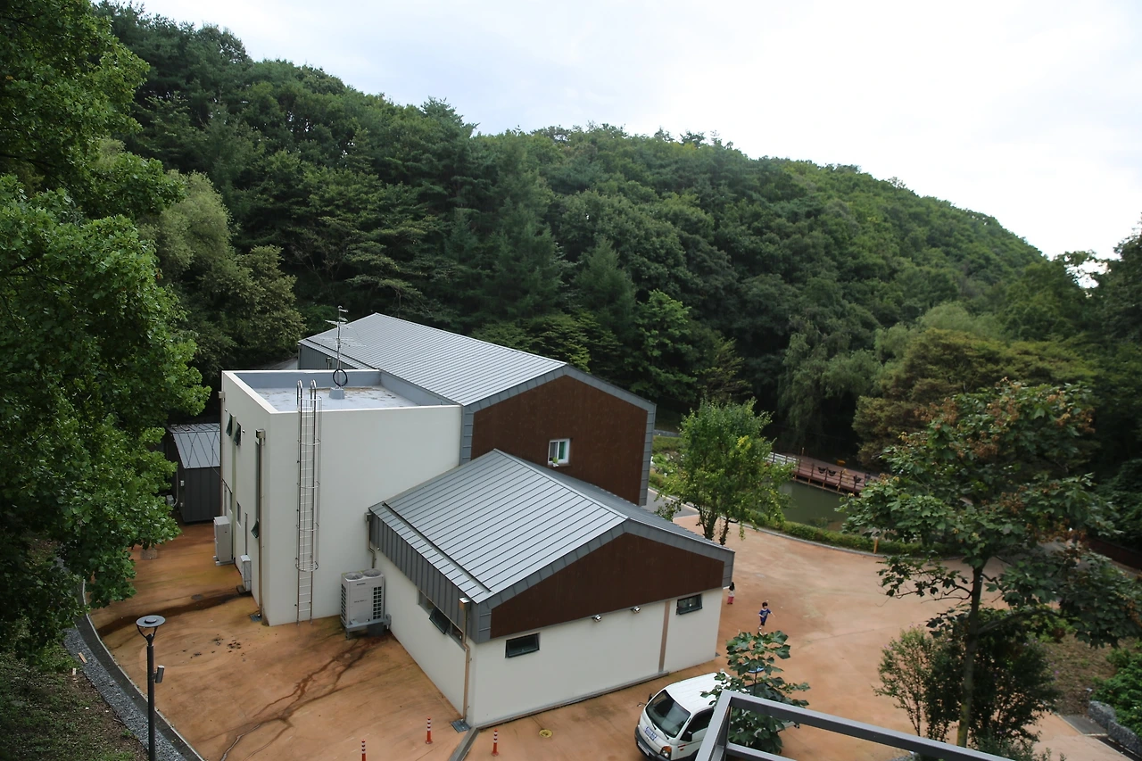 MG0A1052_новый размер.JPG