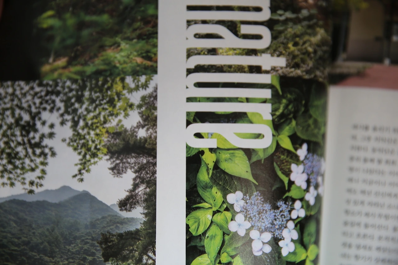 MG0A8921_новый размер.JPG