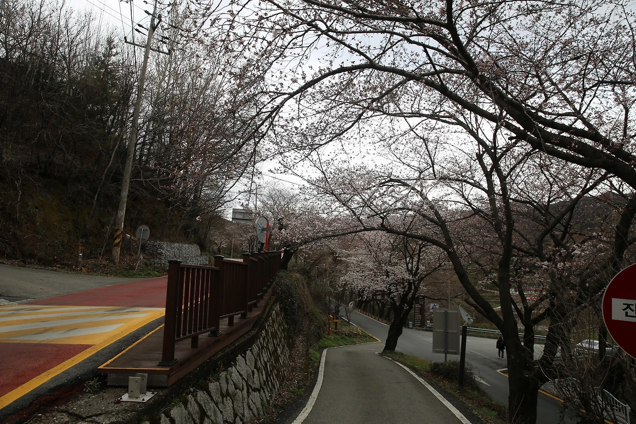 MG0A7253_новый размер.JPG