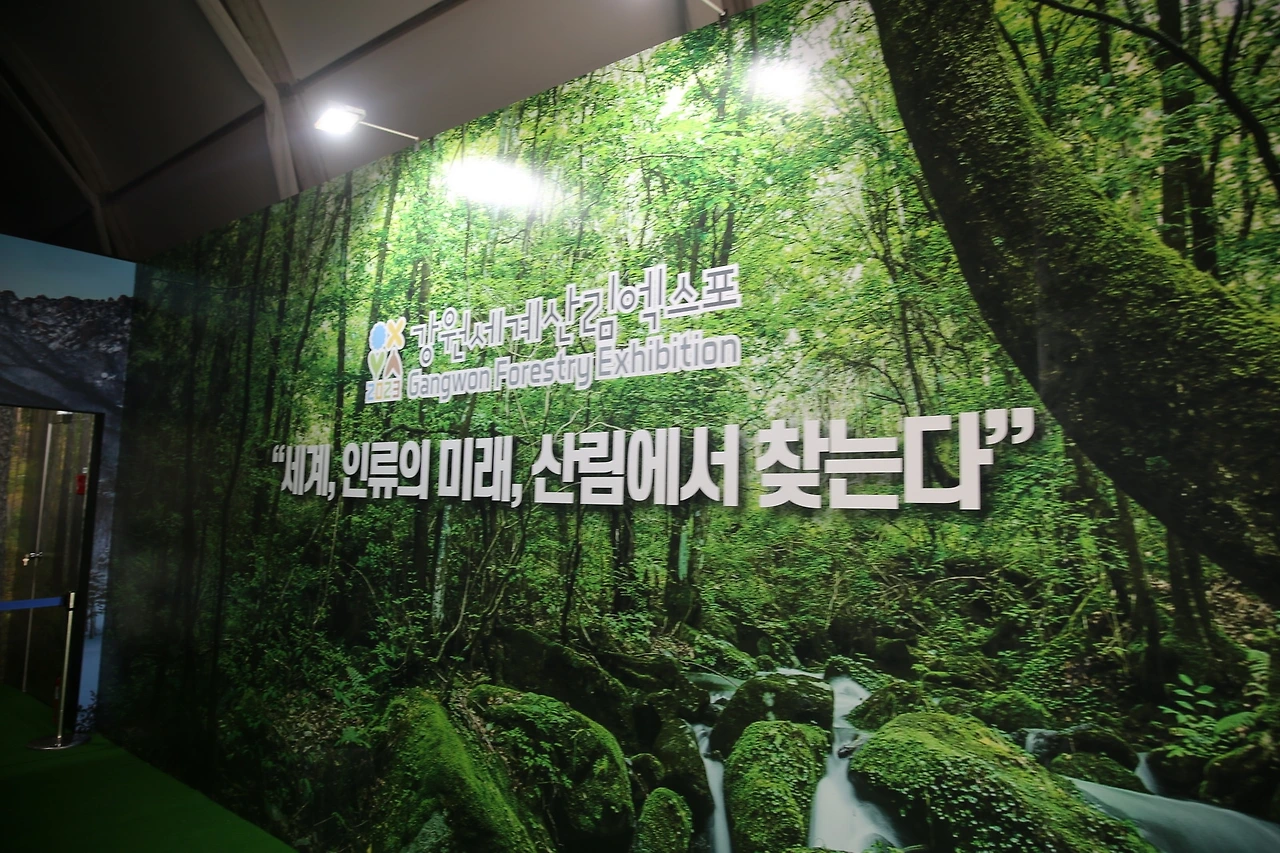 MG0A3699_новый размер.JPG