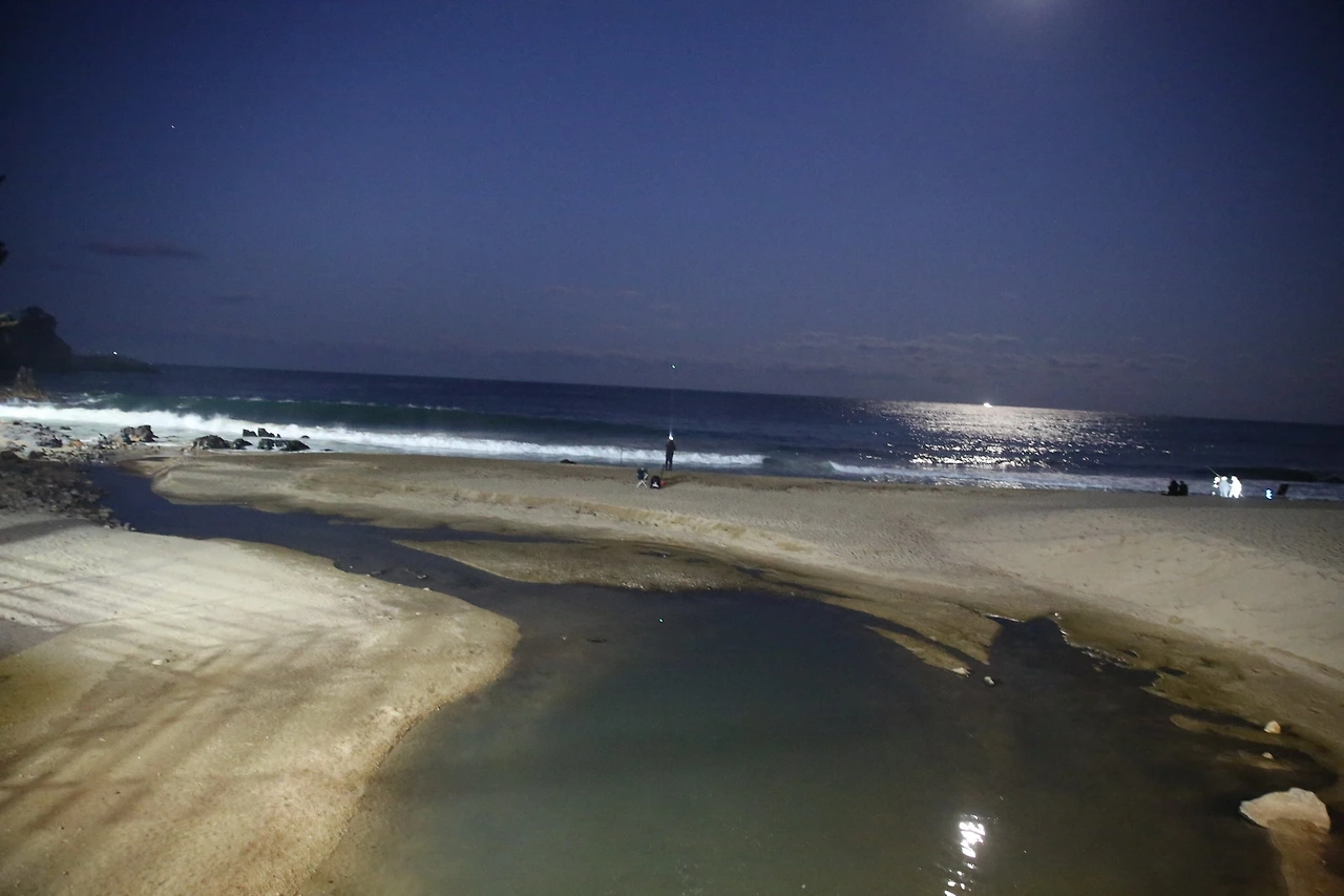 MG0A2343_новый размер.JPG