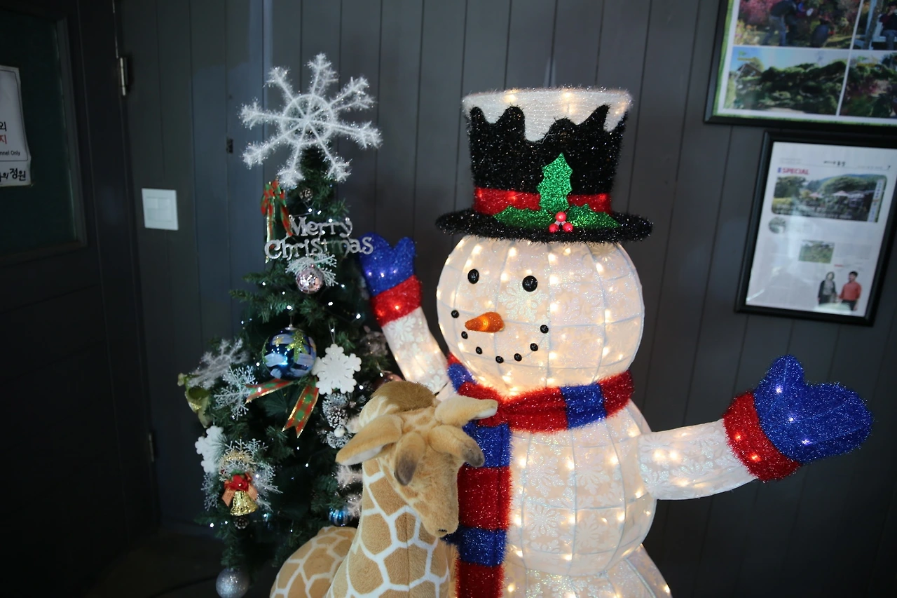 MG0A4776_новый размер.JPG