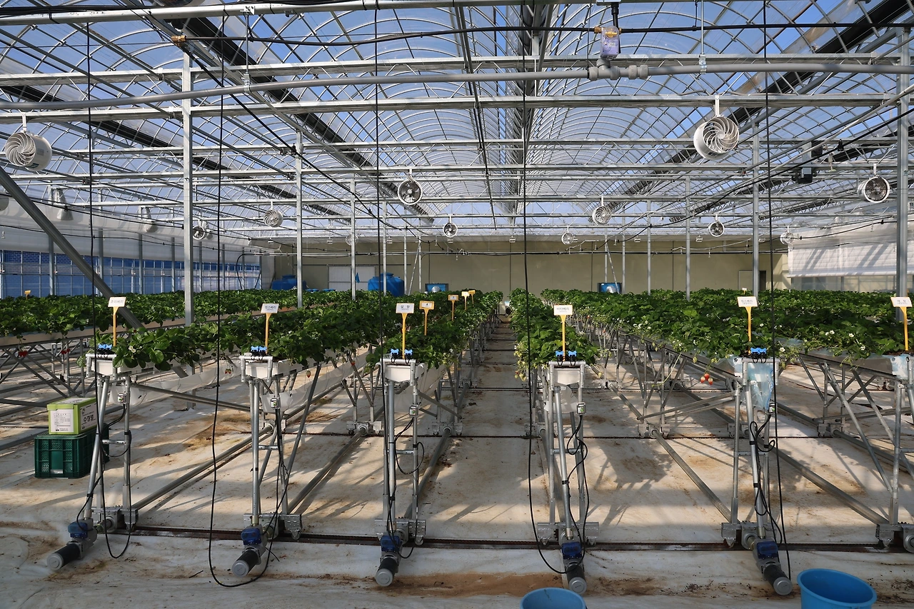 0R5A2685_новый размер.JPG