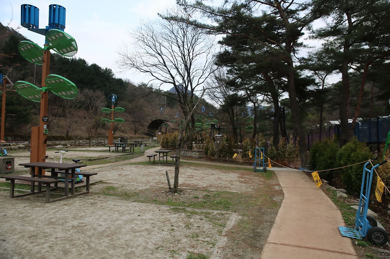 MG0A8403_новый размер.JPG