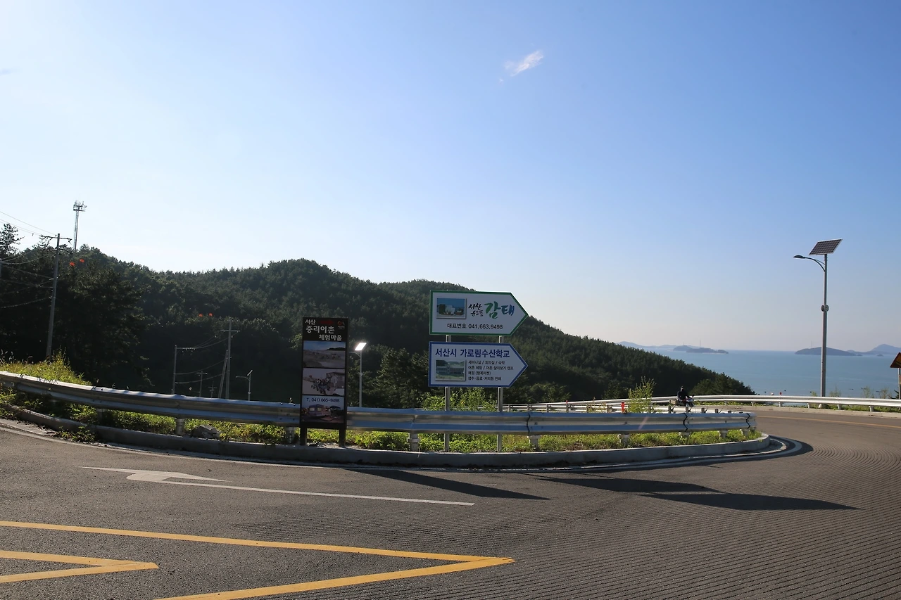 MG0A9262_новый размер.JPG