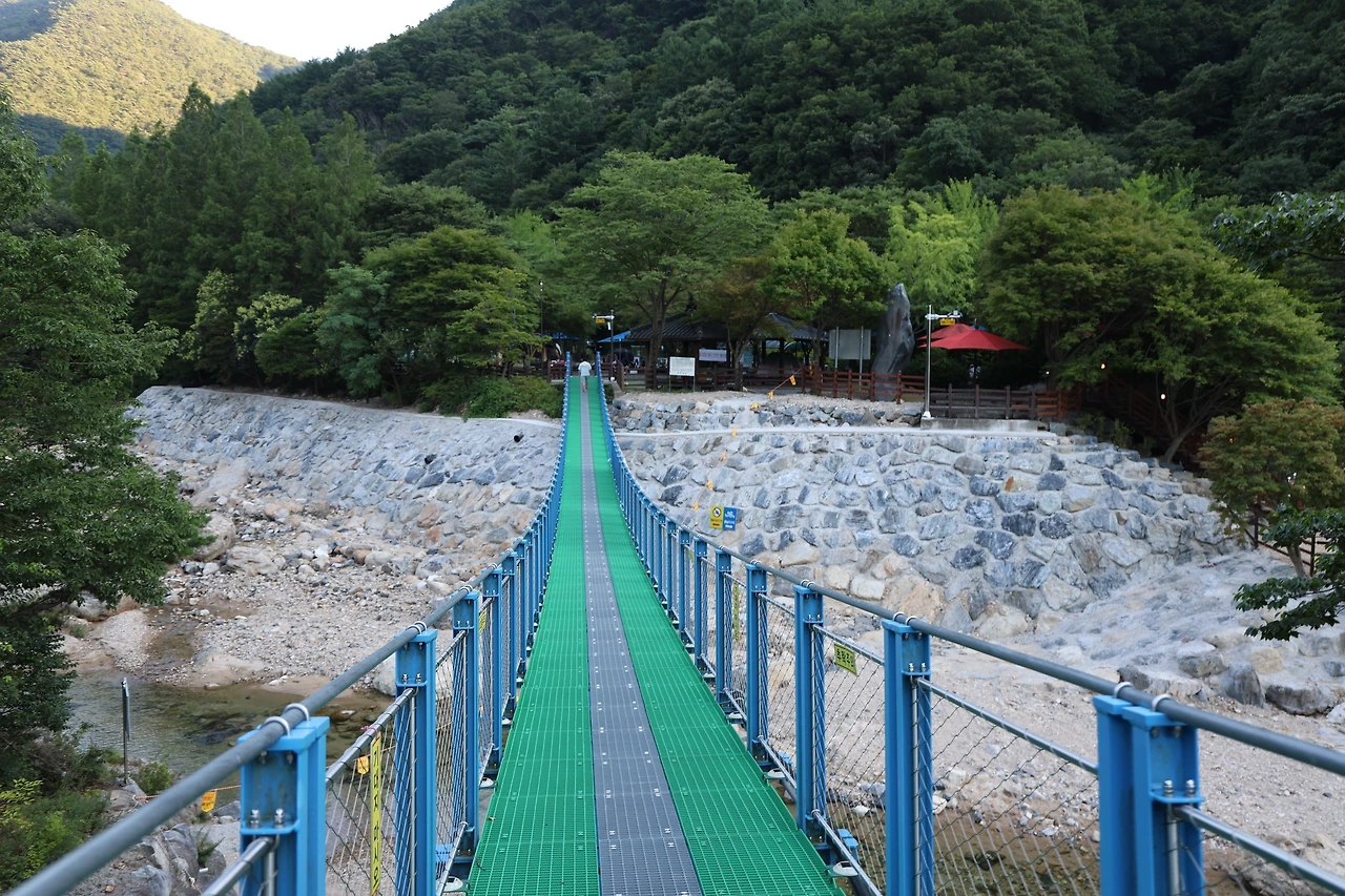 0R5A9894_новый размер.JPG