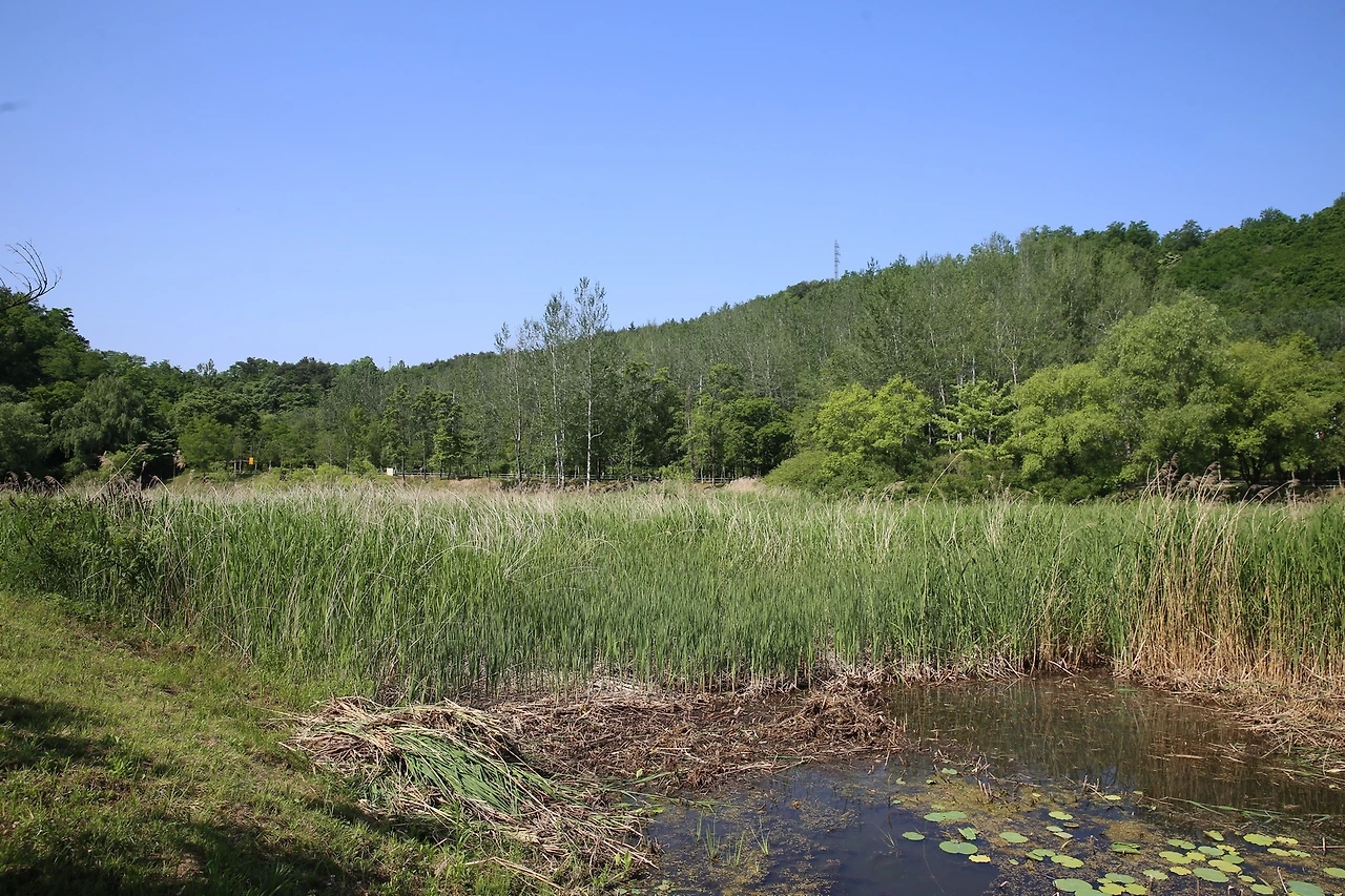 MG0A0059_новый размер.JPG