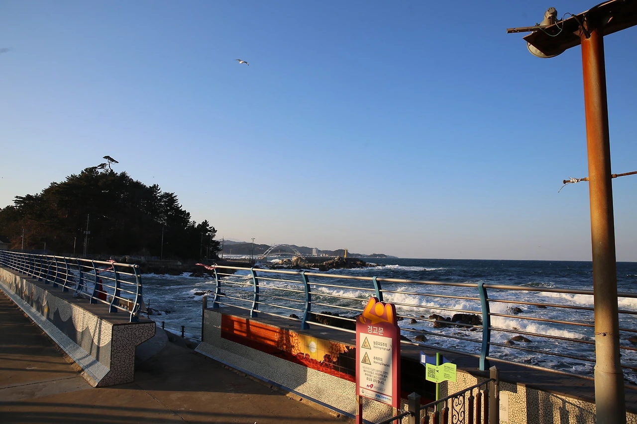 MG0A6689_новый размер.JPG