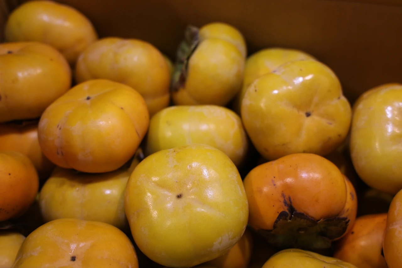 0R5A2317_новый размер.JPG