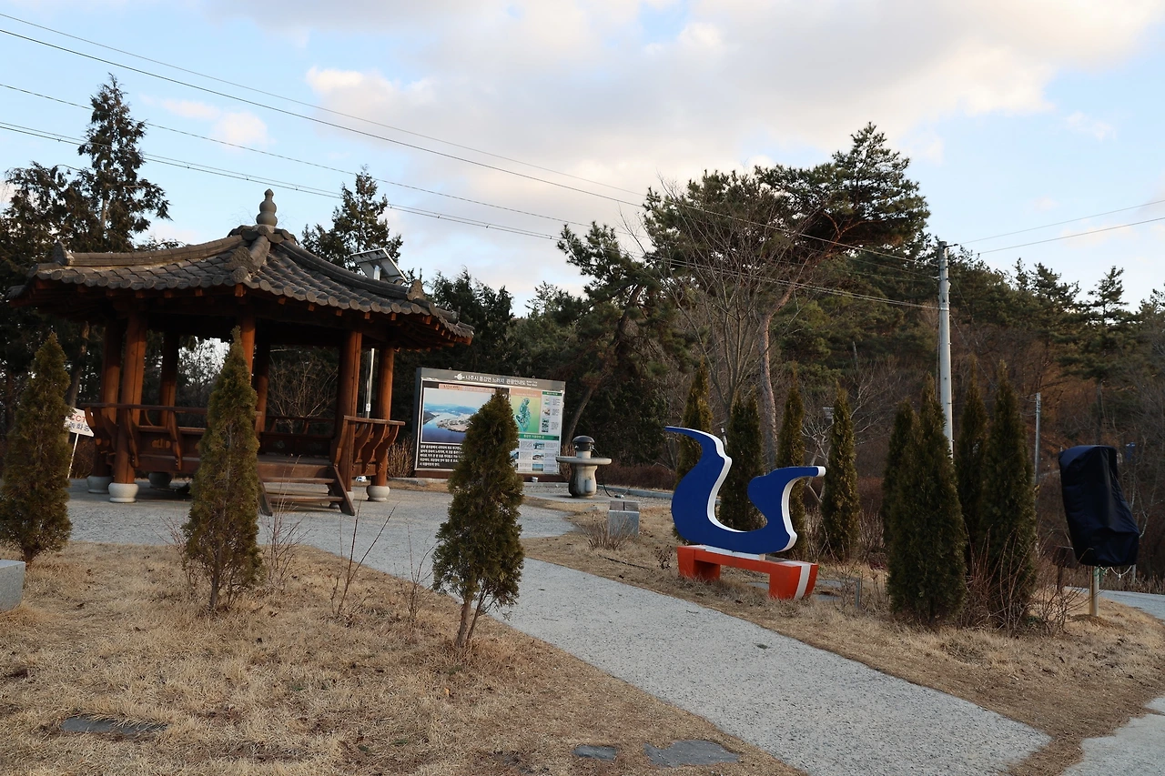 0R5A9940_новый размер.JPG