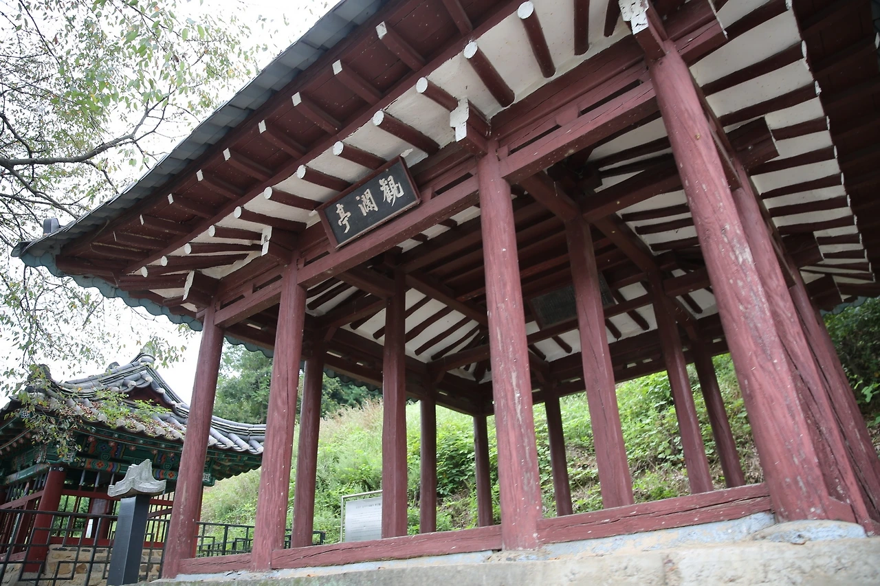 MG0A0578_новый размер.JPG