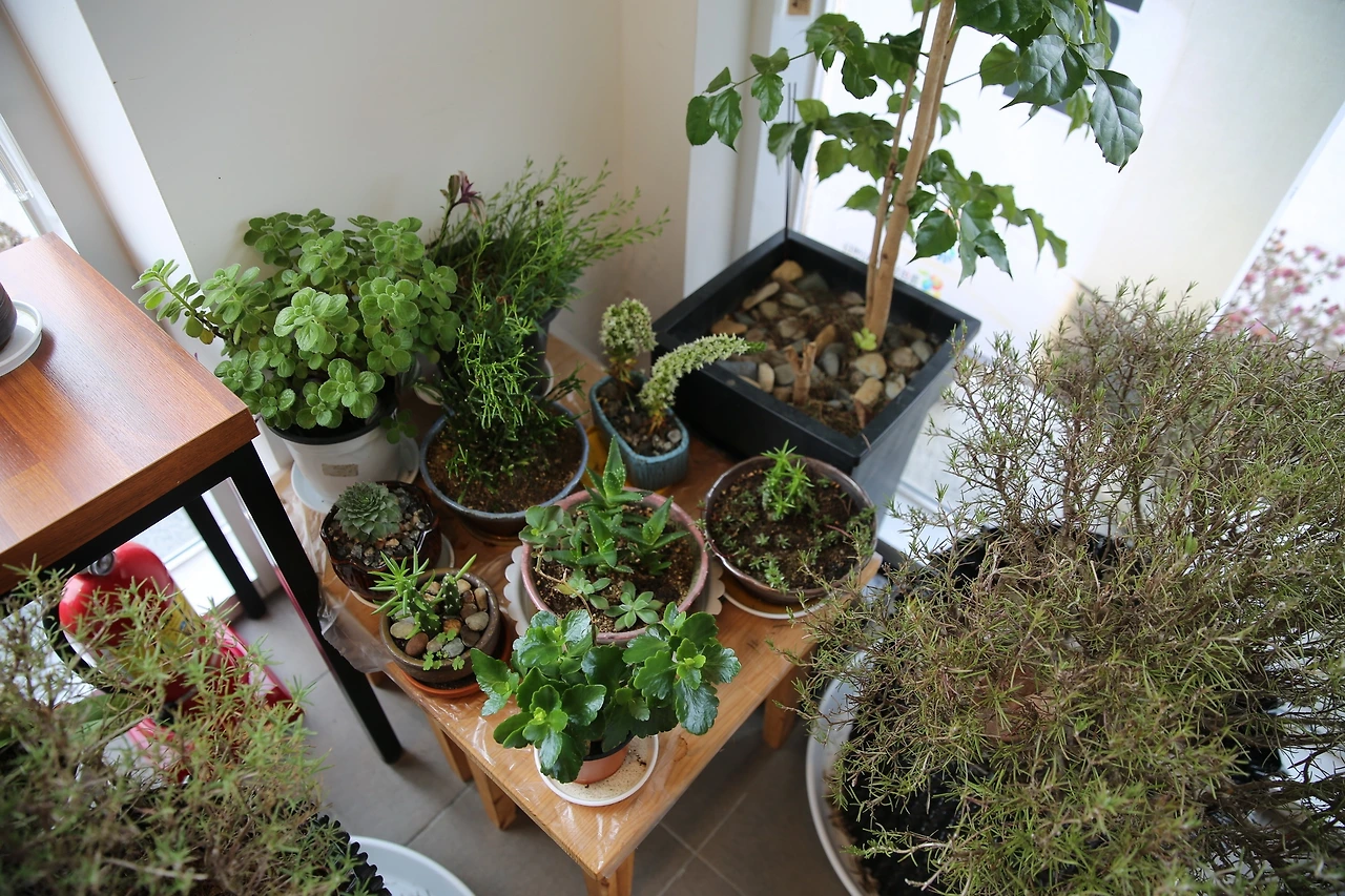 MG0A5940_новый размер.JPG