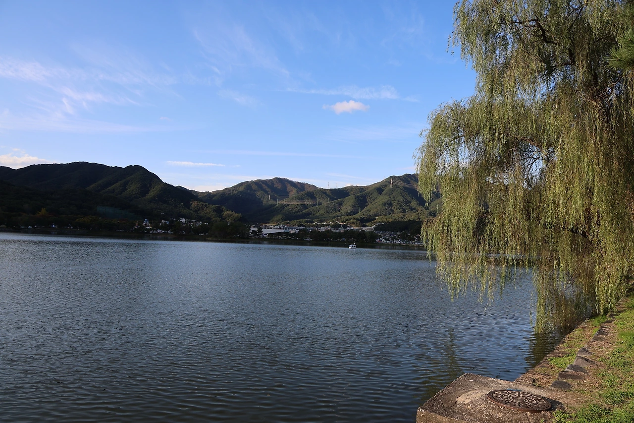 0R5A1213_новый размер.JPG