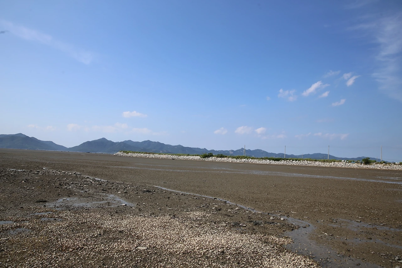 MG0A4594_новый размер.JPG