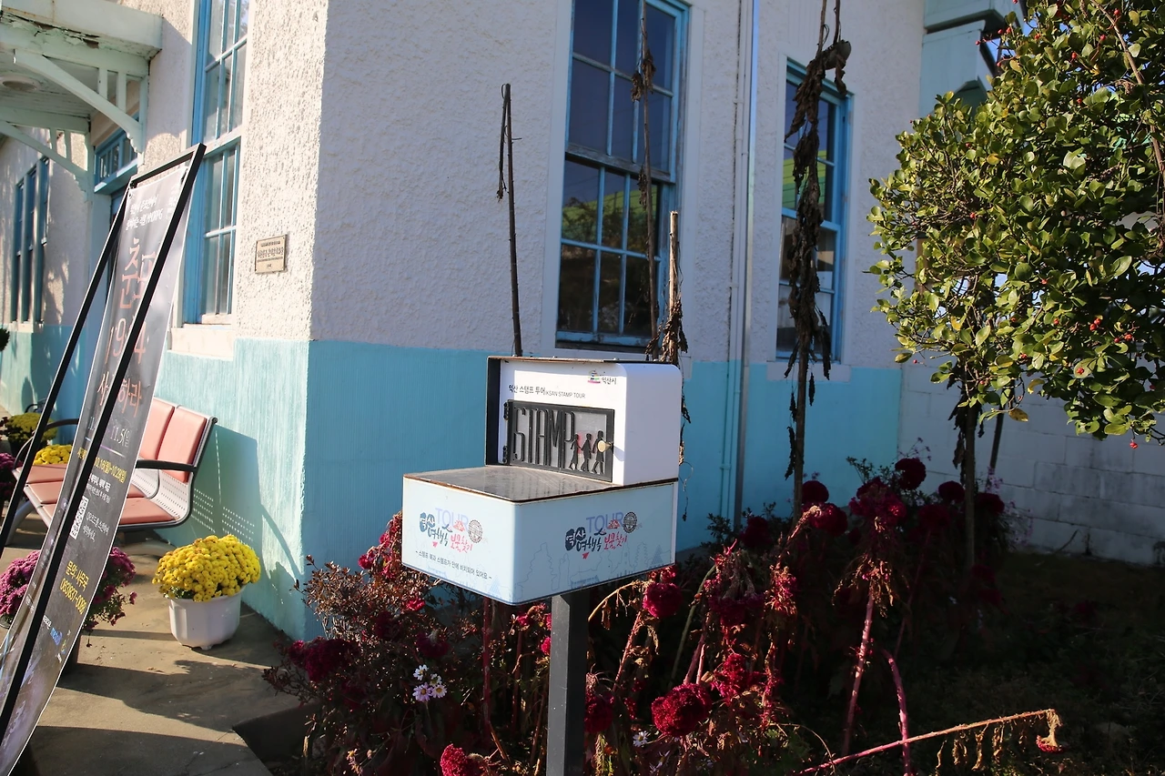 MG0A0617_новый размер.JPG