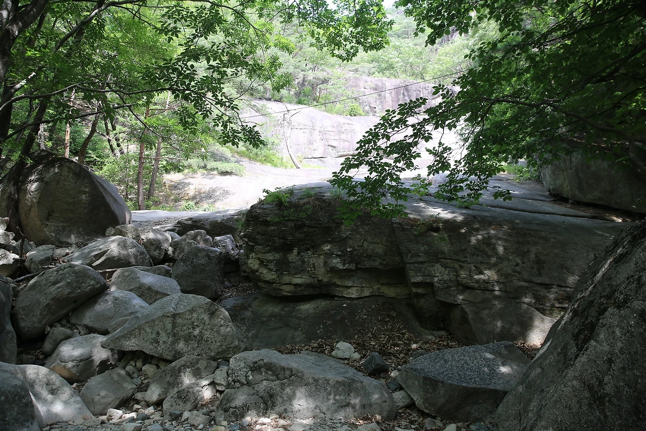 MG0A0726_новый размер.JPG