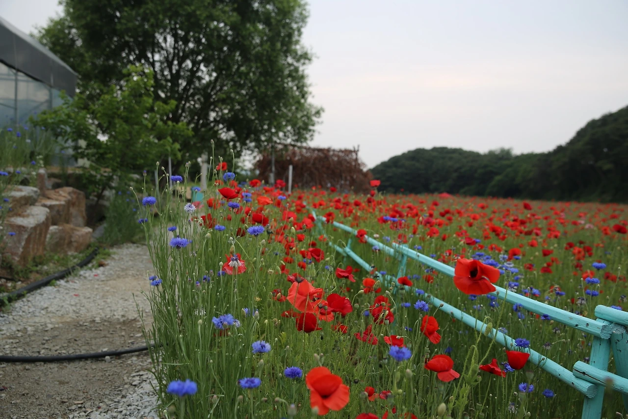 MG0A1178_новый размер.JPG