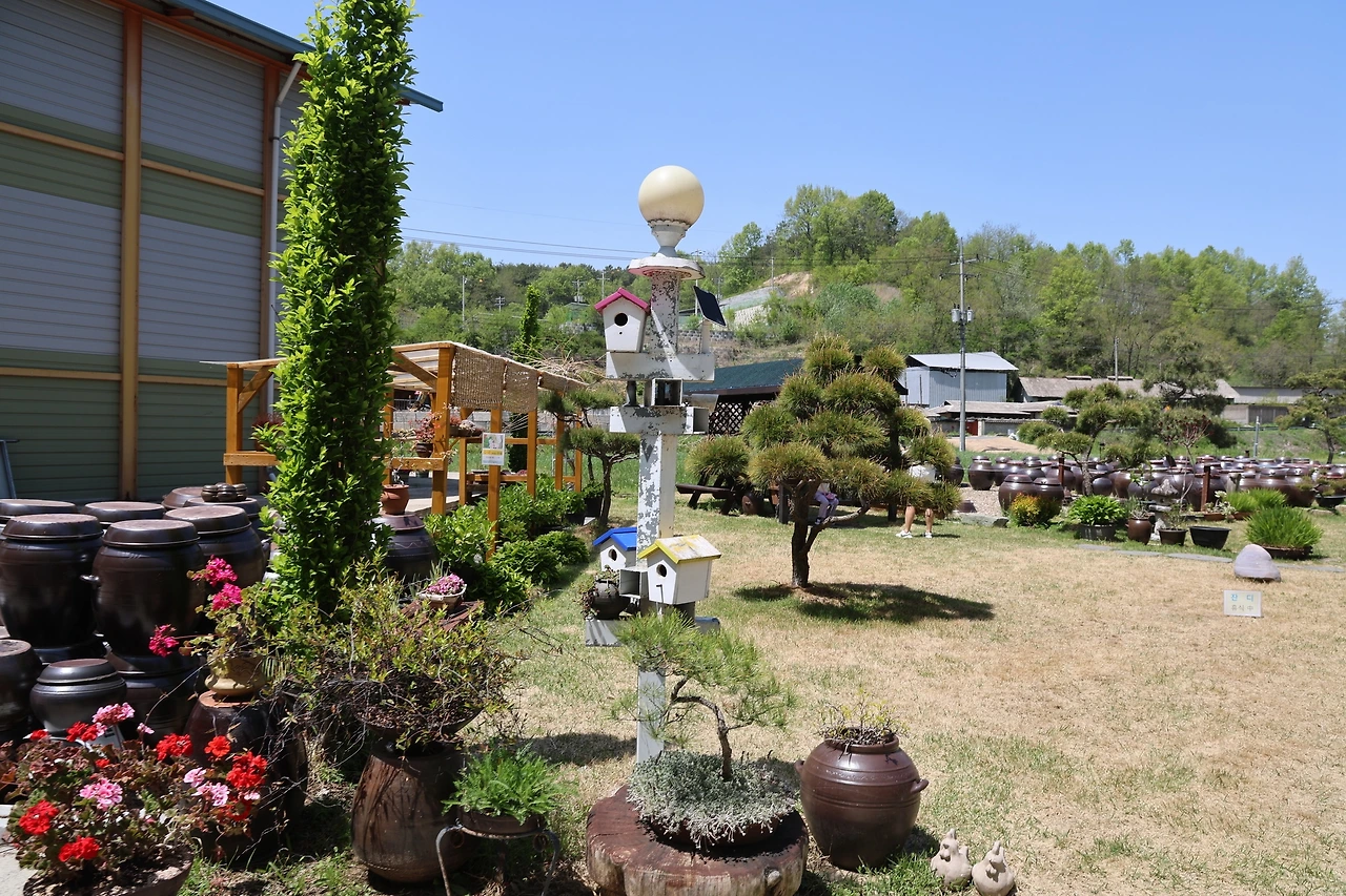 0R5A9571_новый размер.JPG