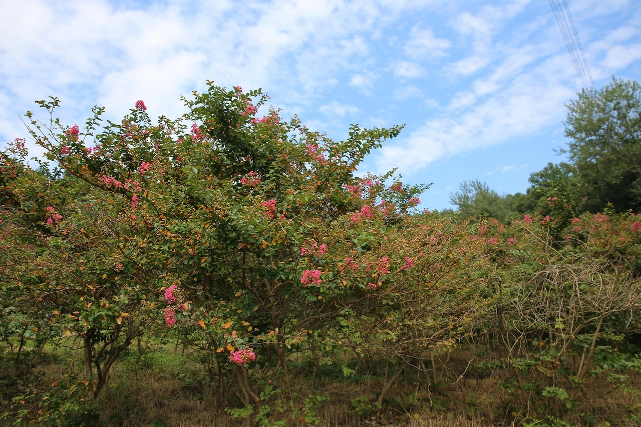 MG0A7038_новый размер.JPG