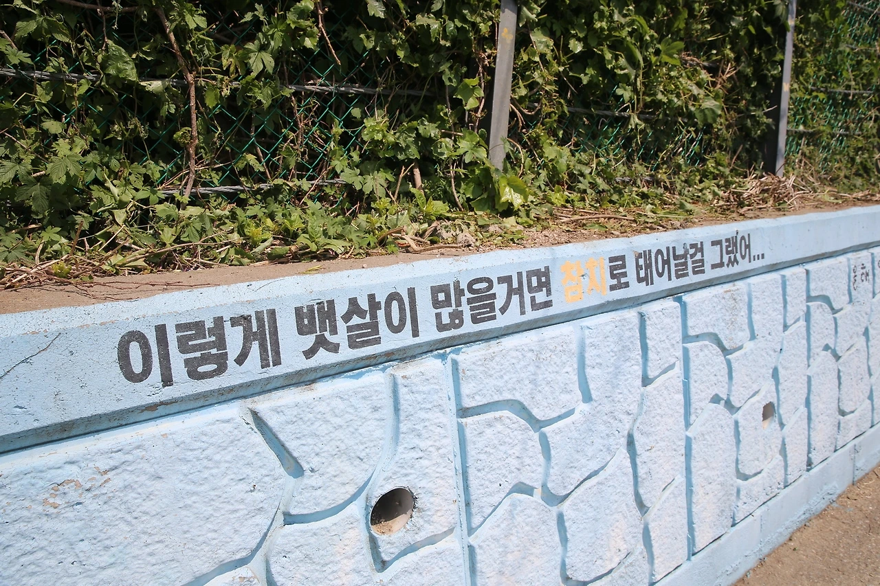 MG0A0108_новый размер.JPG