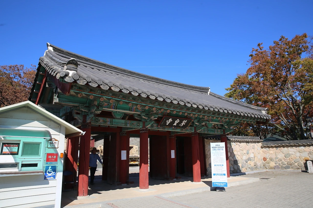 MG0A6763_новый размер.JPG