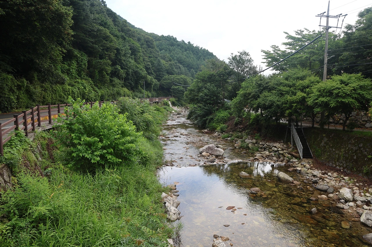 0R5A7582_новый размер.JPG