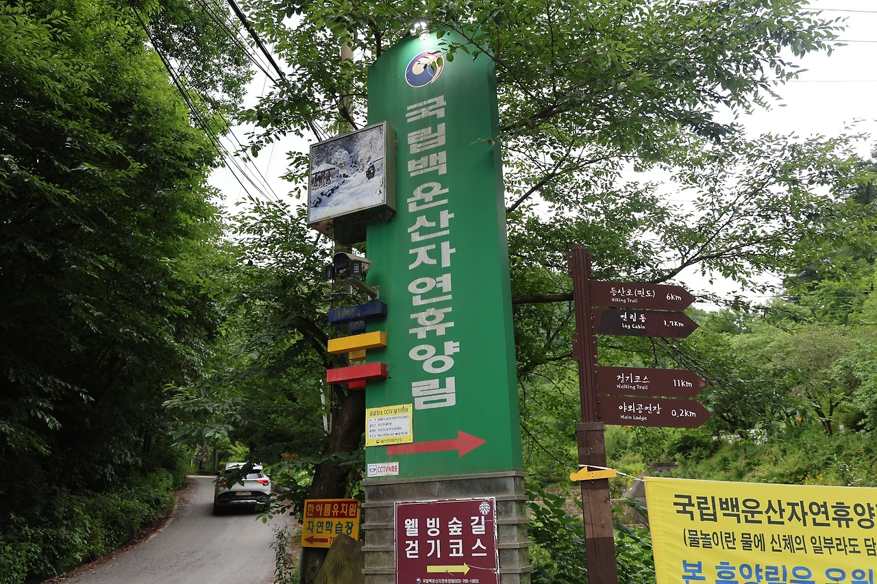 0R5A7502_новый размер.JPG