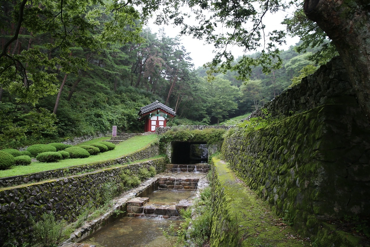 MG0A8493_новый размер.JPG