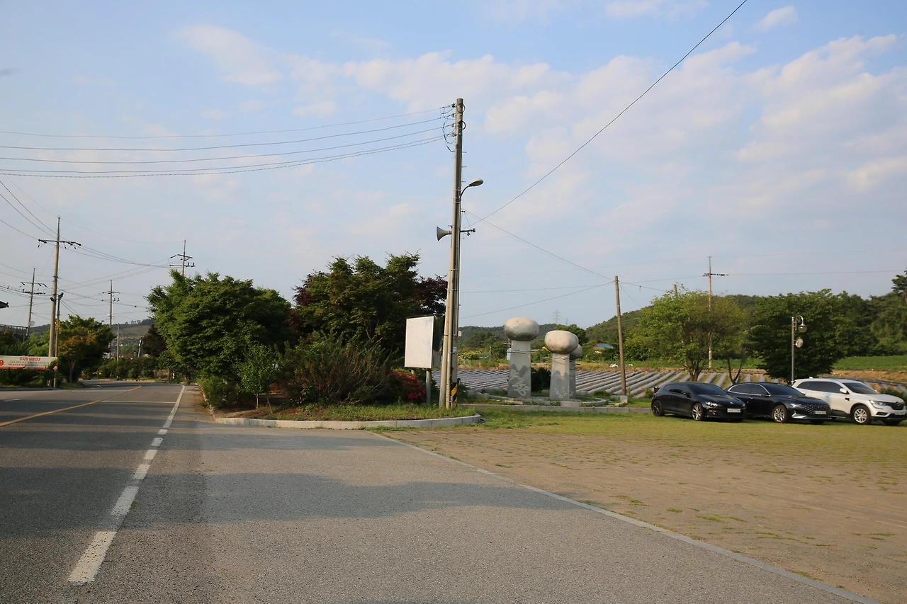 MG0A1963_новый размер.JPG