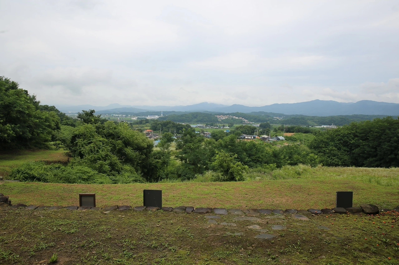 MG0A4715_новый размер.JPG