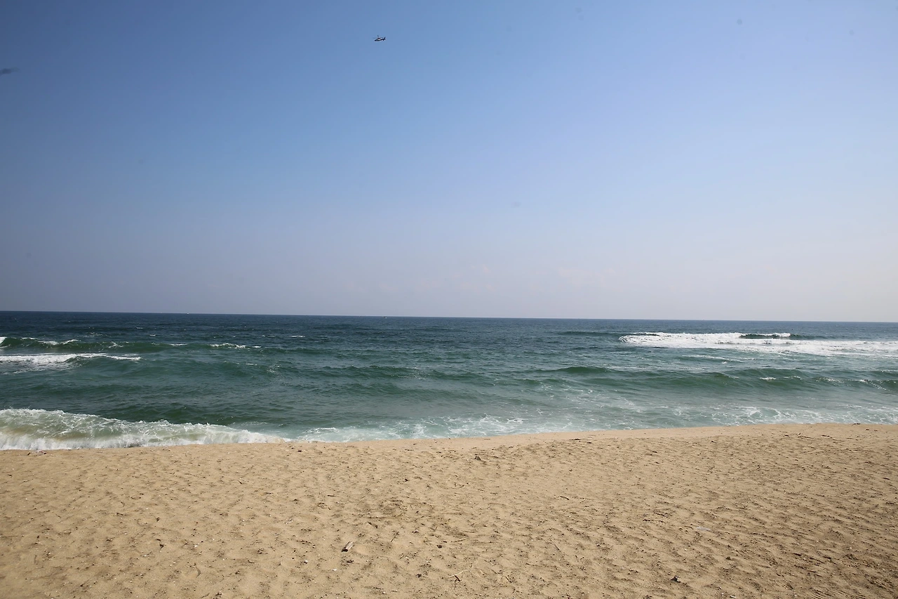 MG0A5079_новый размер.JPG