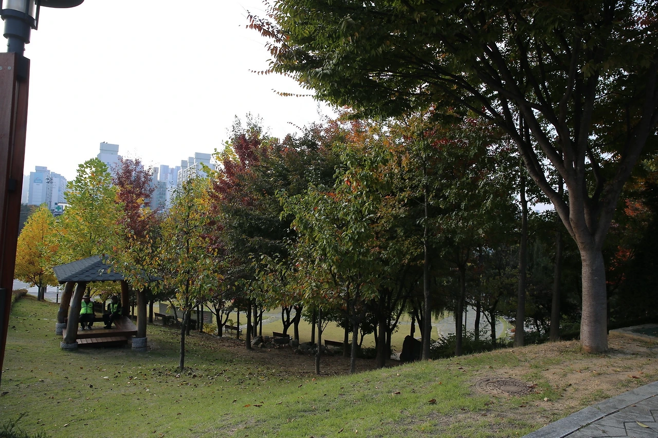 MG0A7629_новый размер.JPG