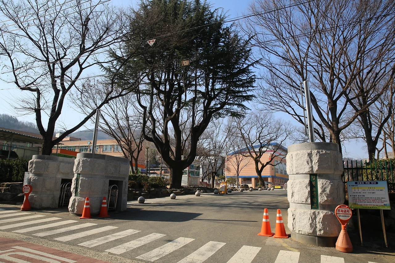 MG0A7263_новый размер.JPG