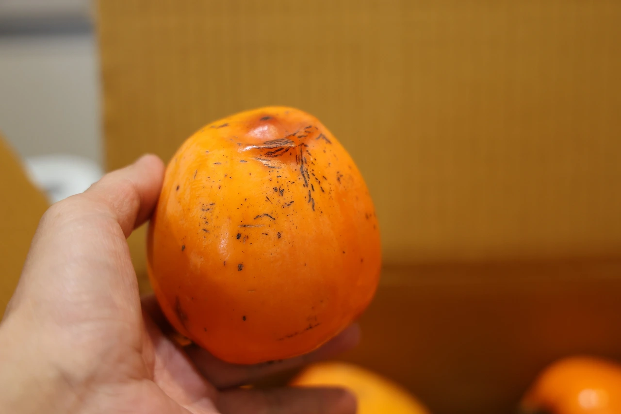 0R5A4797_новый размер.JPG