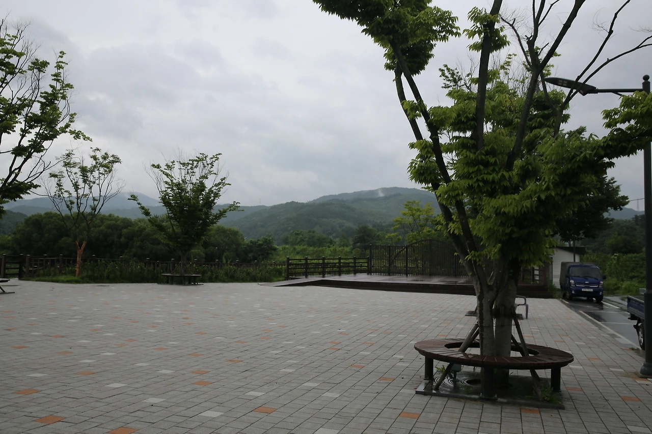 MG0A5971_новый размер.JPG