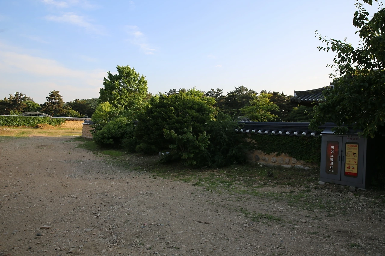 MG0A5285_новый размер.JPG