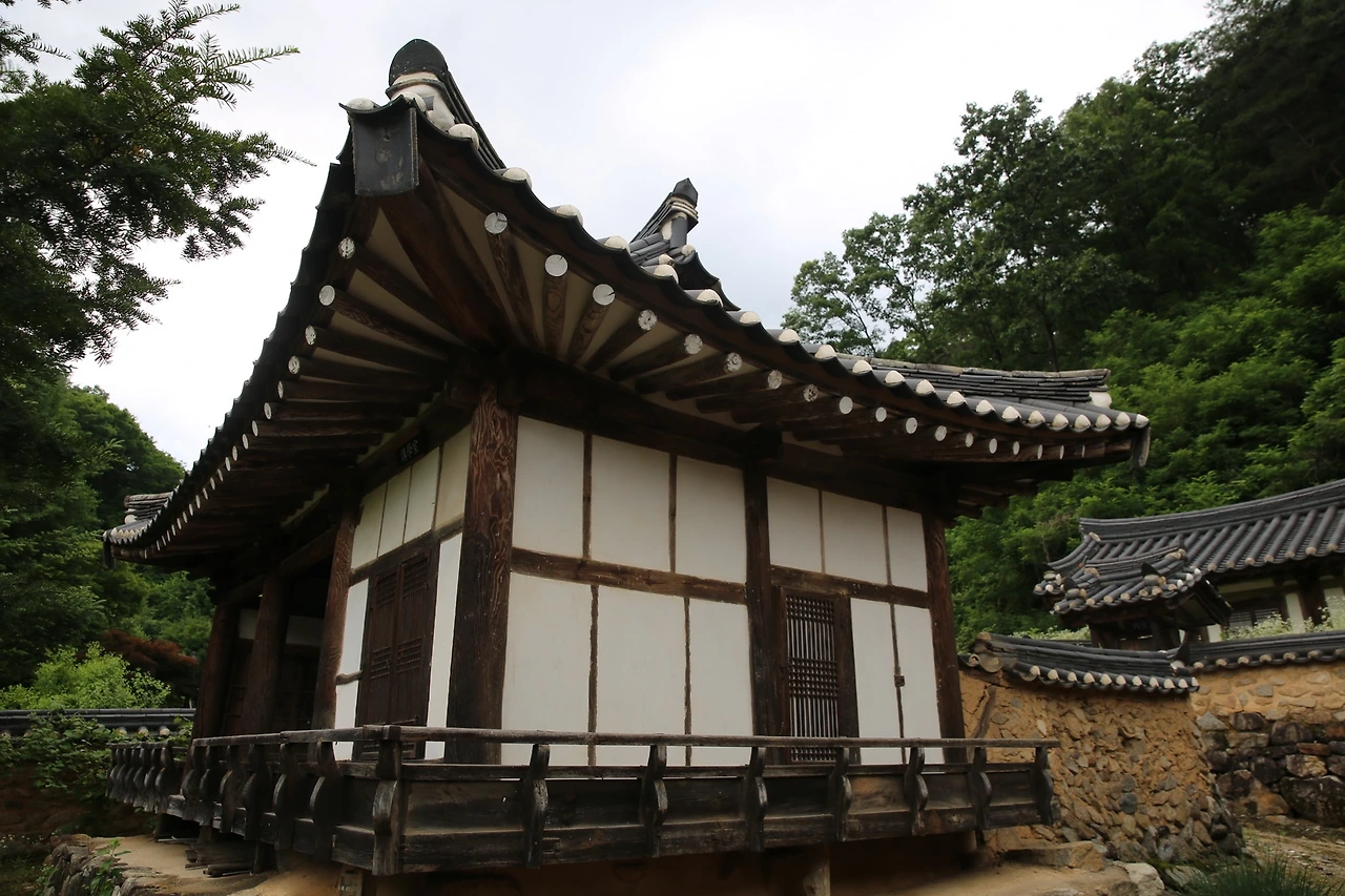 MG0A0429_новый размер.JPG