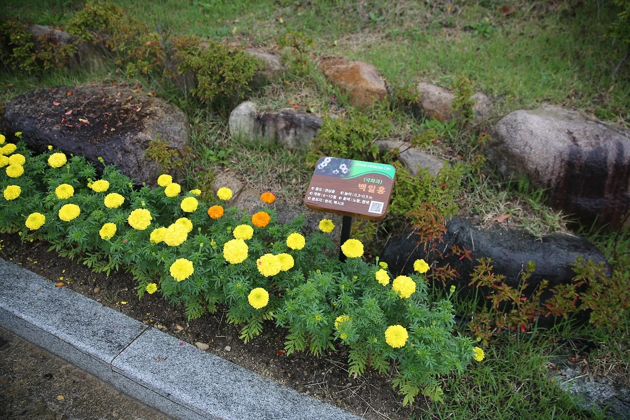 MG0A3074_новый размер.JPG