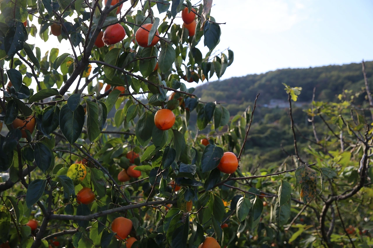 MG0A7964_новый размер.JPG