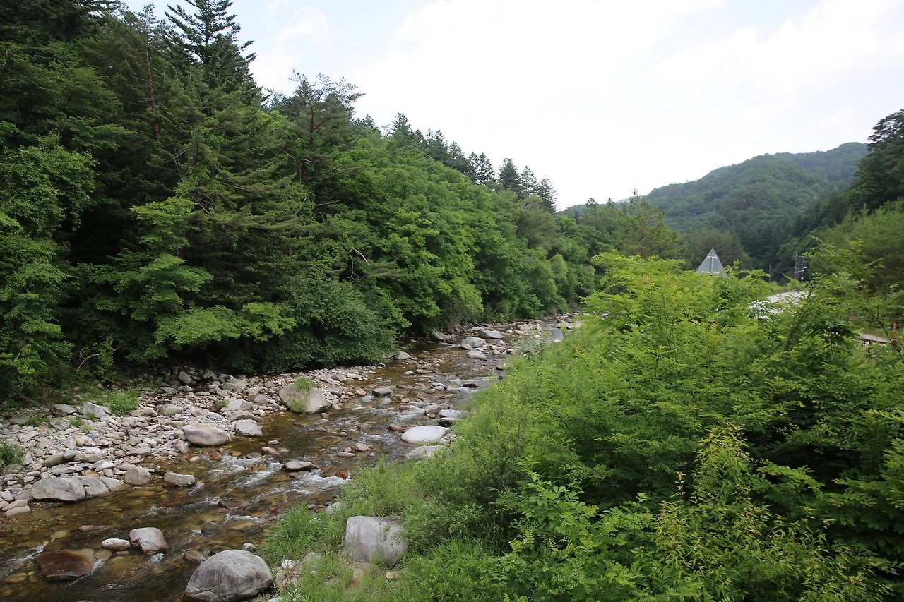 MG0A0773_новый размер - 복사본.JPG