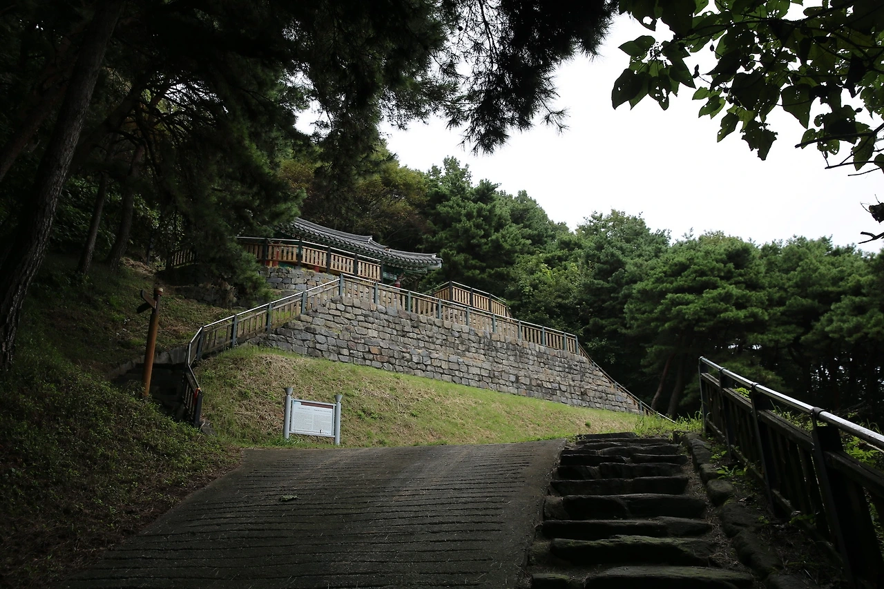 MG0A5146_новый размер.JPG