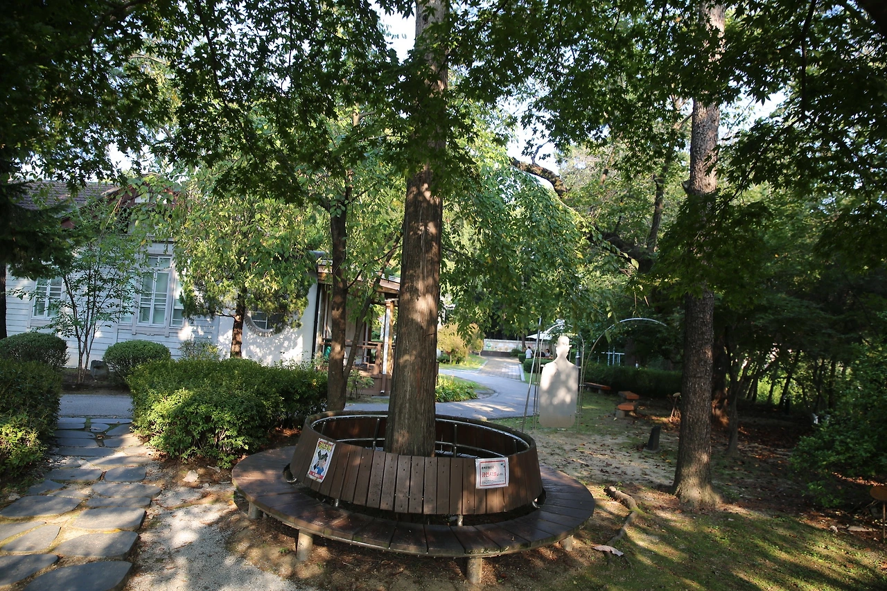 MG0A4589_новый размер.JPG