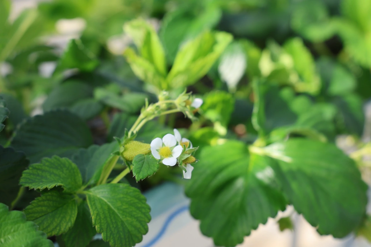 0R5A2687_новый размер.JPG