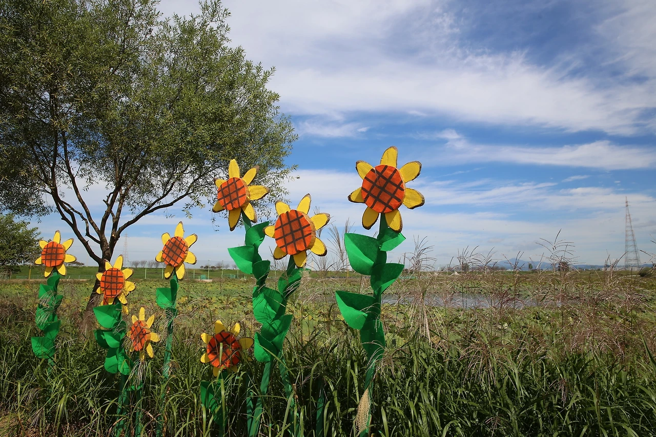 MG0A2726_новый размер.JPG