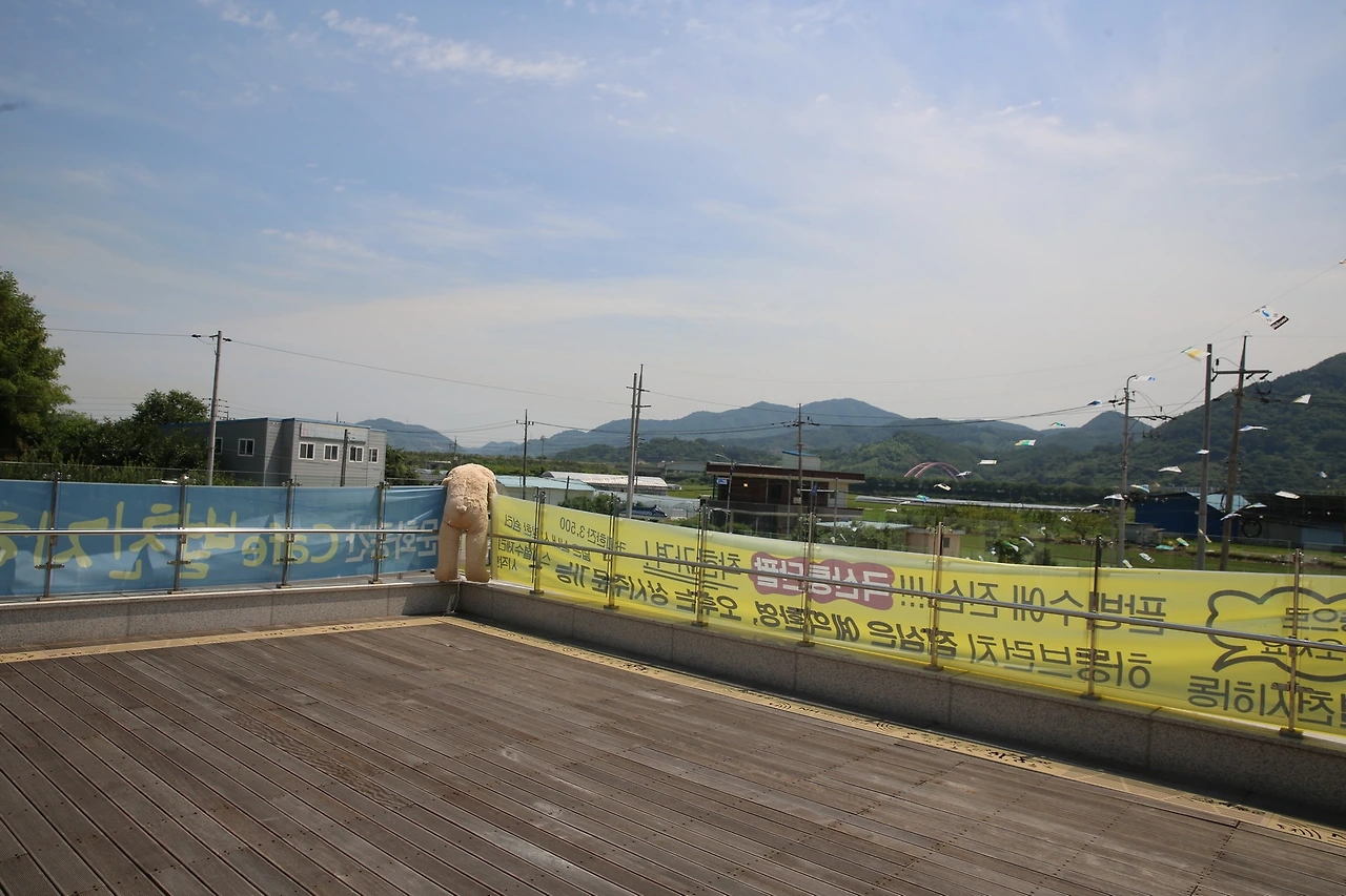 MG0A9731_новый размер.JPG