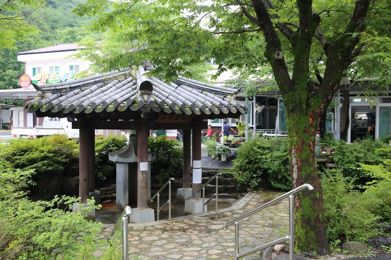 MG0A6524_новый размер.JPG