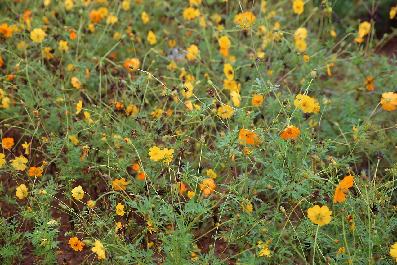 MG0A1783_новый размер.JPG