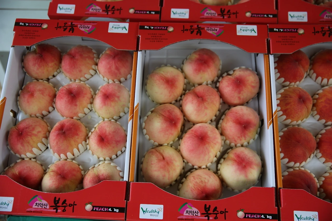 MG0A6202_новый размер.JPG