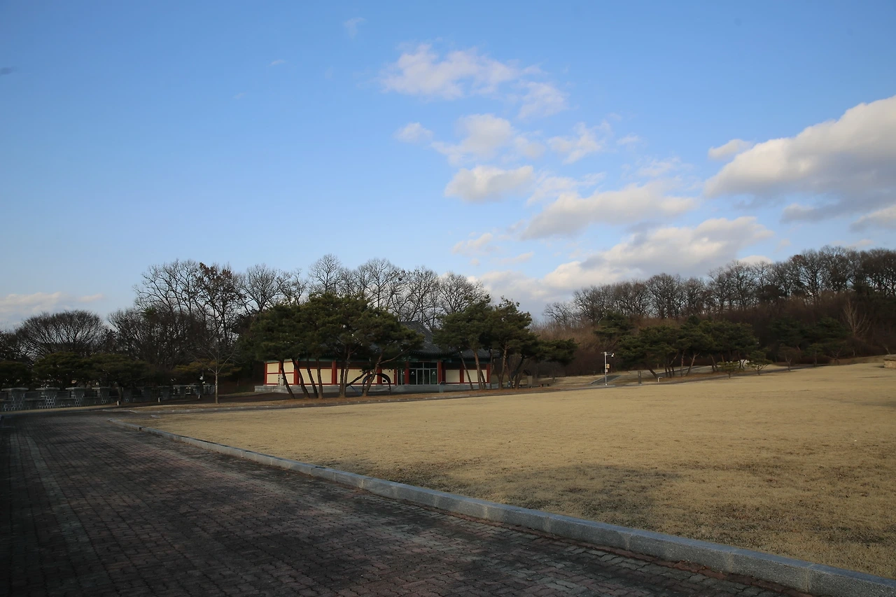 MG0A2007_новый размер.JPG