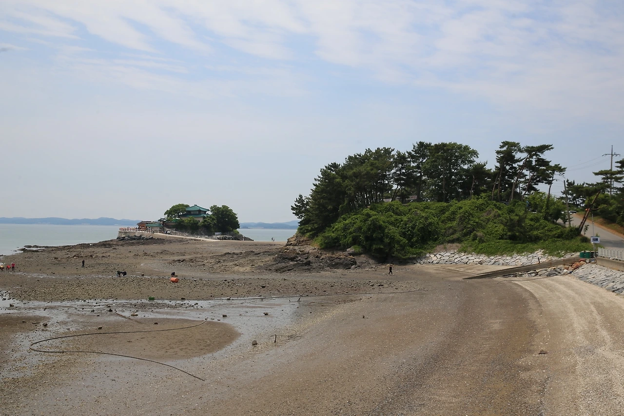 MG0A6221_новый размер.JPG